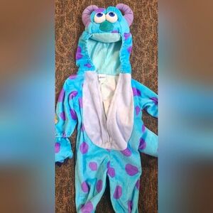 Sullivan of Monster Inc for 9 Mo